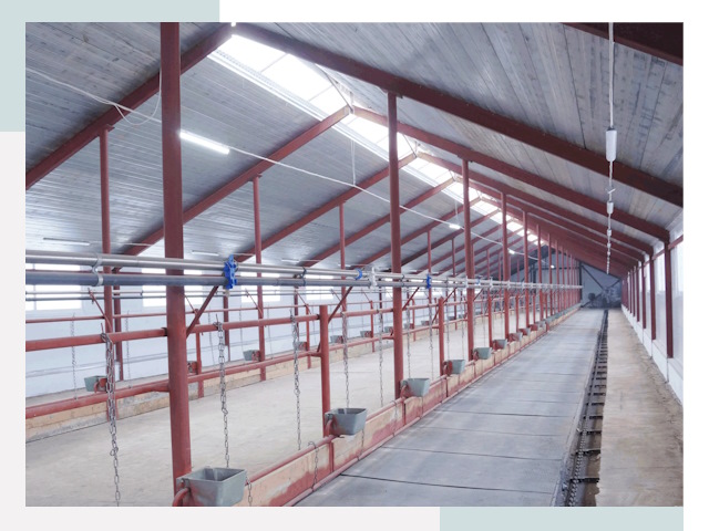 Строительство коровников в Сальске от 610 руб.