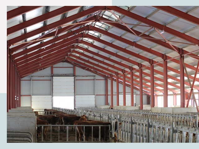 Строительство коровников в Сальске