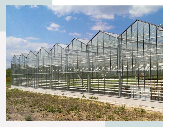 Строительство теплиц в Сальск от 610 руб. за м²