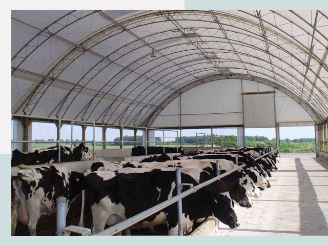 Тентовые коровники в Сальске