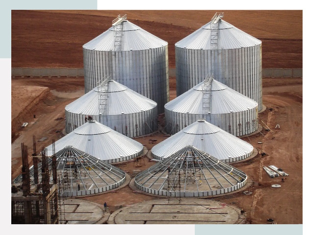 Строительство зерновых силосов в Сальске